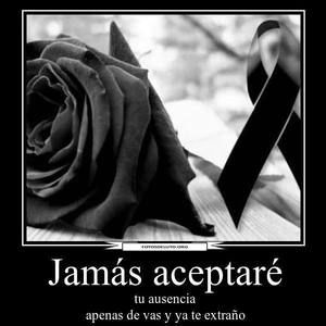 Meet your Posher, Mercy